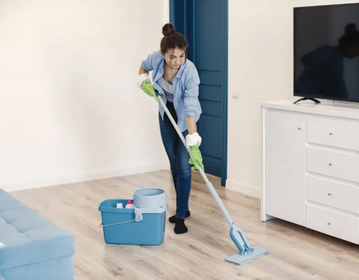 Femme de ménage La Panouse